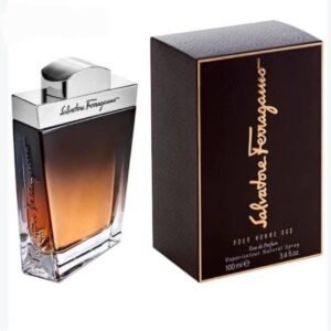 Salvatore Ferragamo Pour Homme Oud EDP 100ml For Men